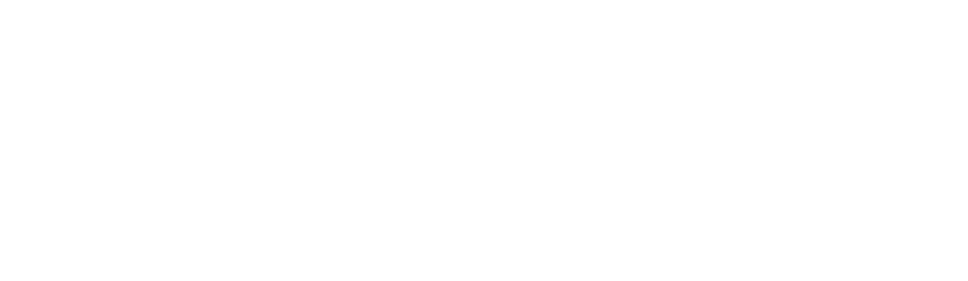 Logo Rayvolt